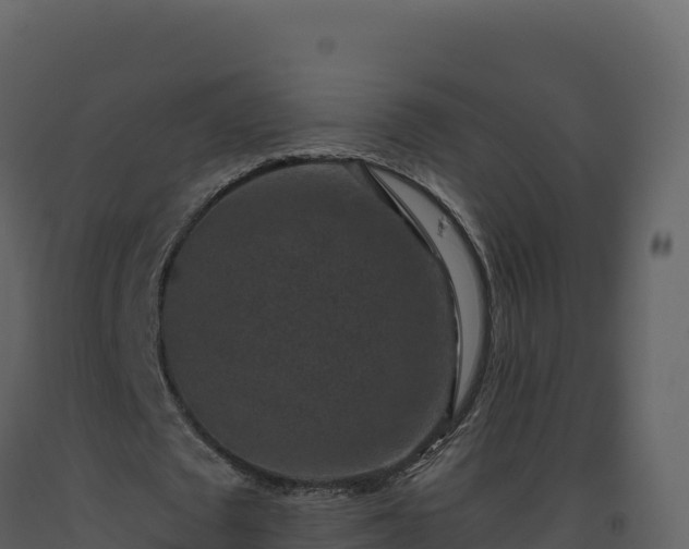 X0000093480673200710191207