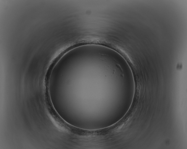 X0000093480674200710191207