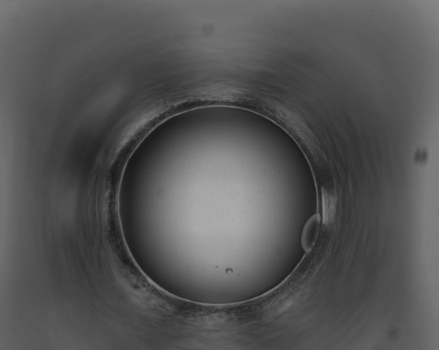 X0000093480675200710191207