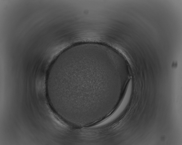 X0000093480677200710191207