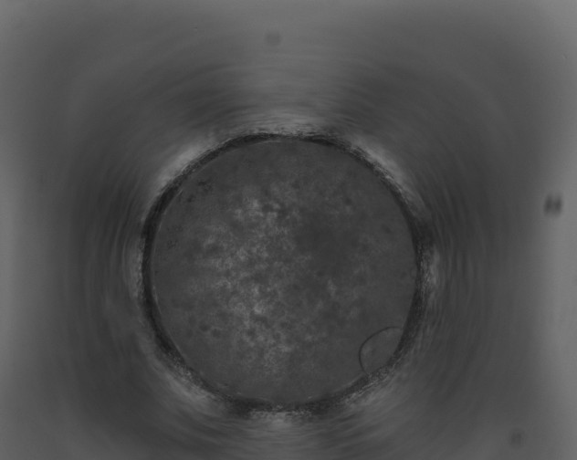 X0000093480679200710191207