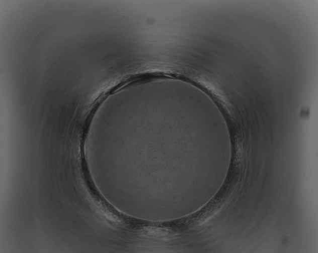 X0000093480681200710191207