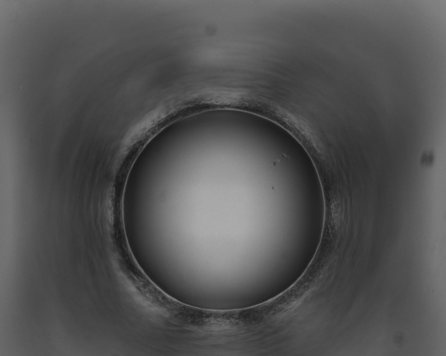 X0000093480682200710191207