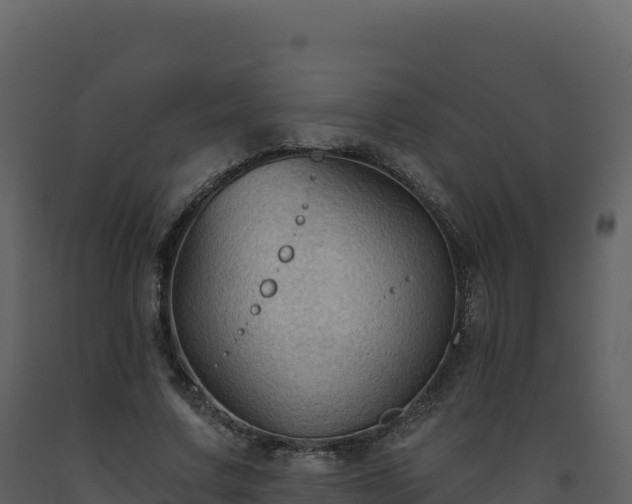 X0000093480683200710191207