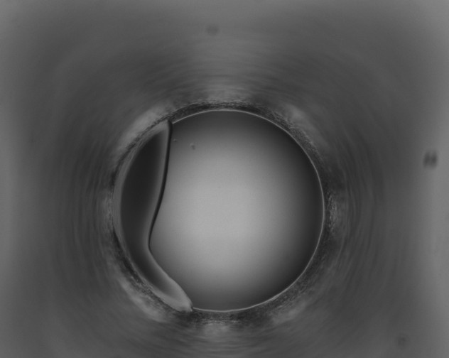 X0000093480684200710191207