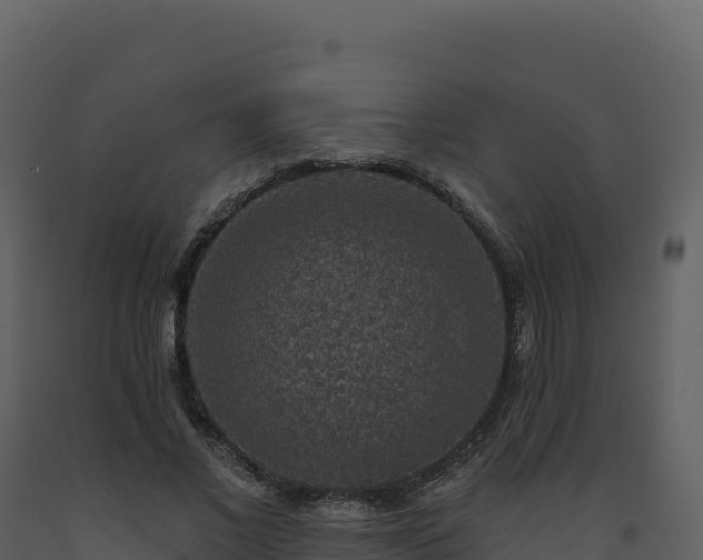 X0000093480685200710191206