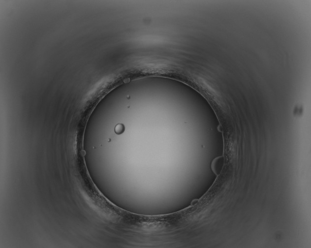 X0000093480686200710191206