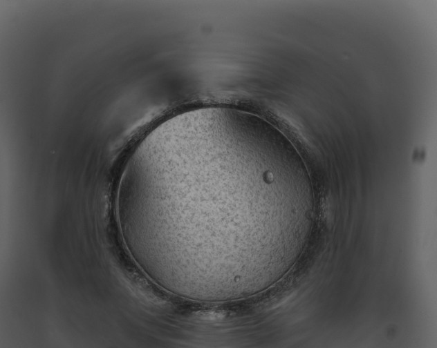 X0000093480687200710191206