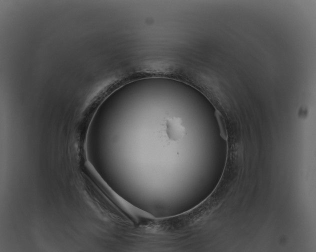 X0000093480688200710191206