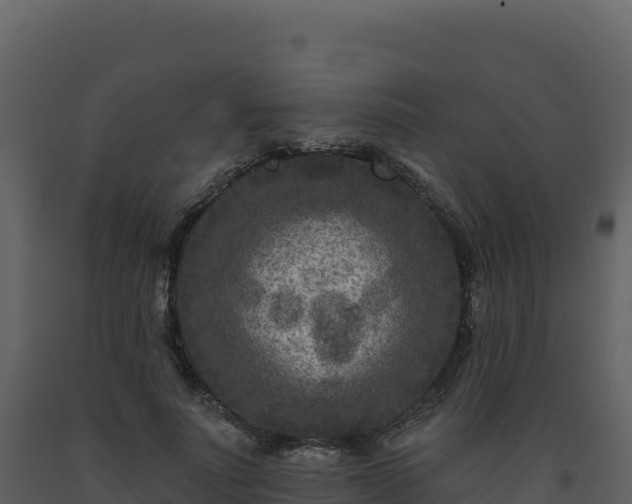 X0000093480691200710191206