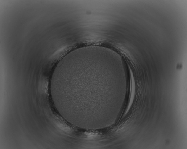 X0000093480693200710191206