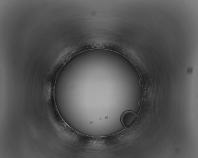 X0000093480694200710191206