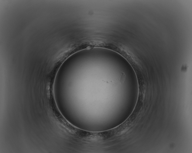 X0000093480696200710191206
