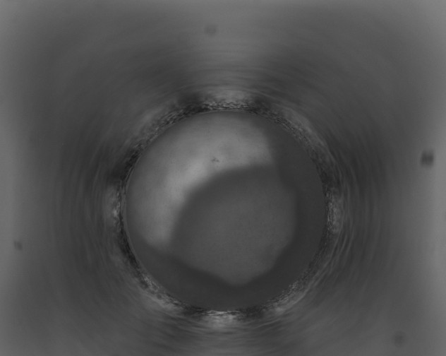 X0000093480701200710191206