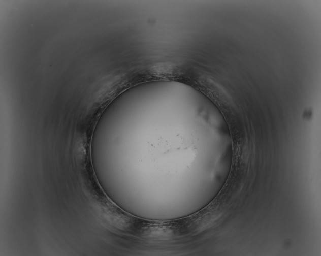 X0000093480702200710191206