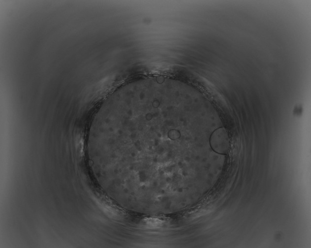X0000093480703200710191206