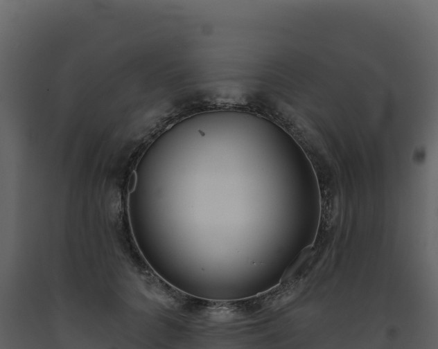 X0000093480704200710191206