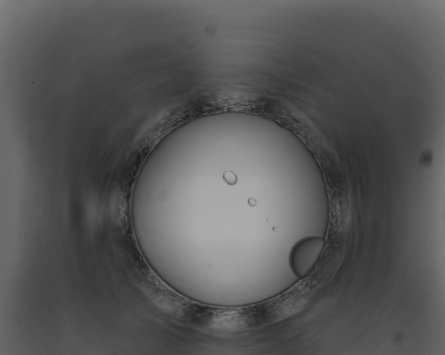 X0000093480705200710191206