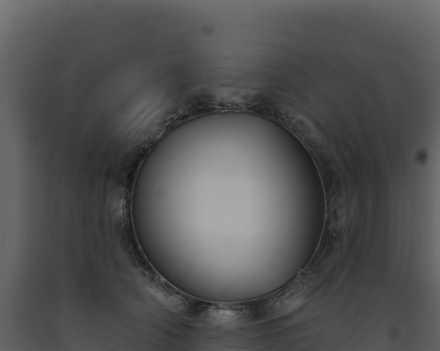 X0000093480706200710191206