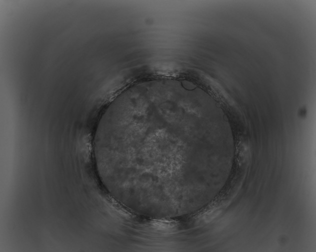 X0000093480707200710191206
