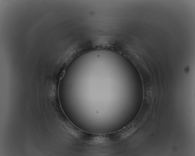 X0000093480708200710191206