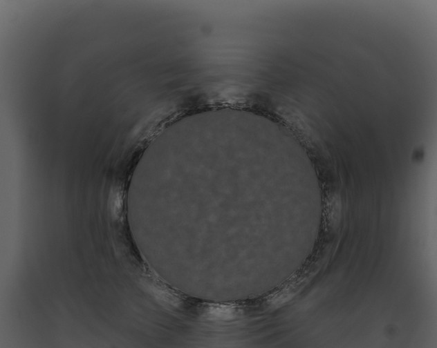 X0000093480709200710191206