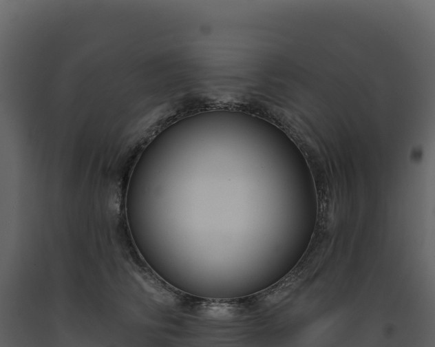 X0000093480710200710191206
