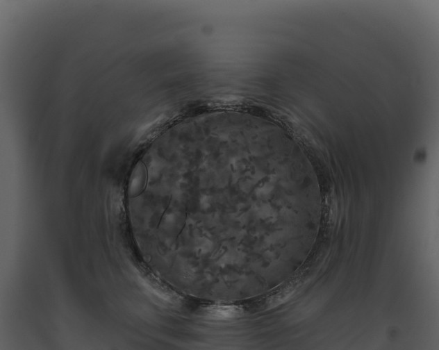 X0000093480711200710191206