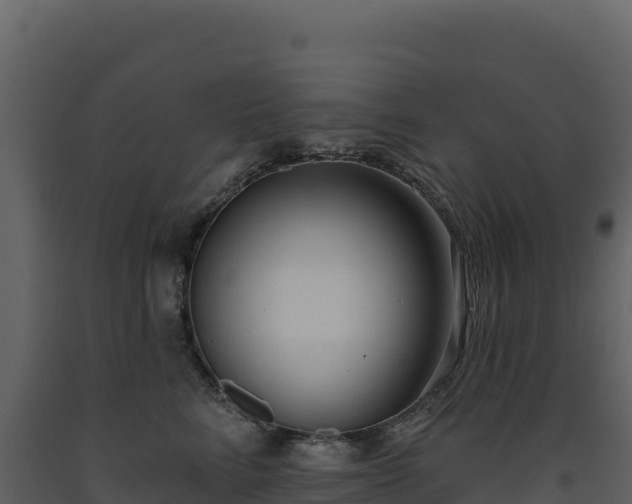 X0000093480712200710191206