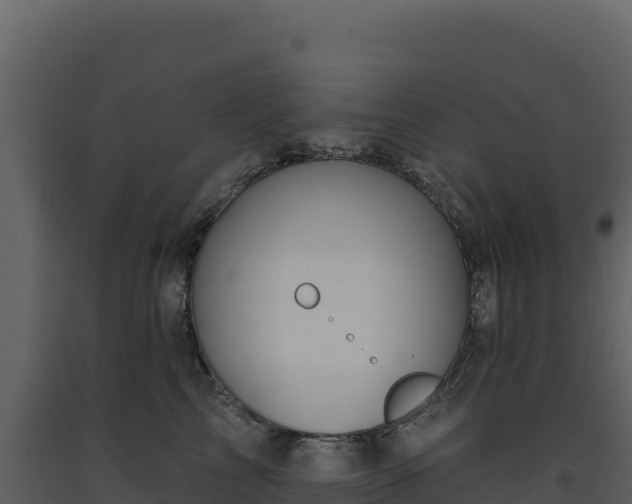 X0000093480713200710191206