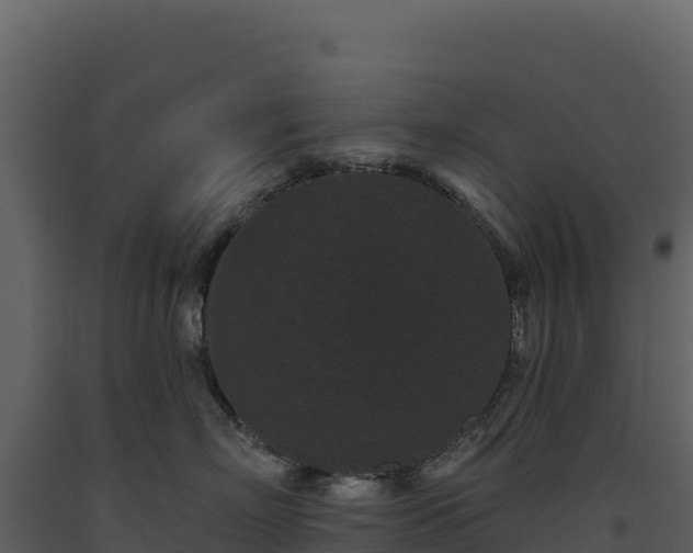 X0000093480718200710191206