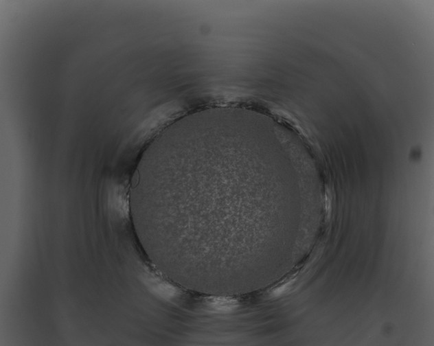 X0000093480719200710191206