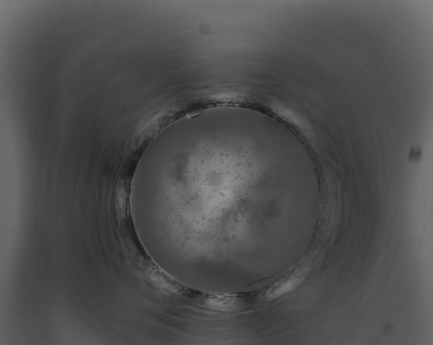 X0000093480720200710191206