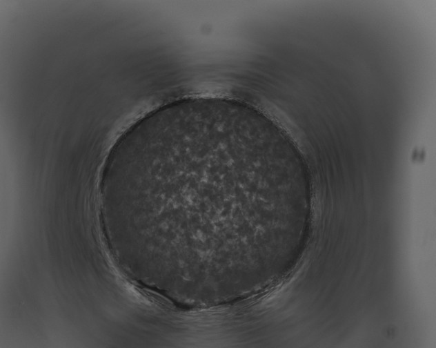 X0000093480721200710191205