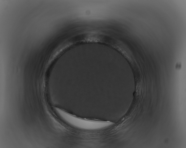 X0000093480722200710191205