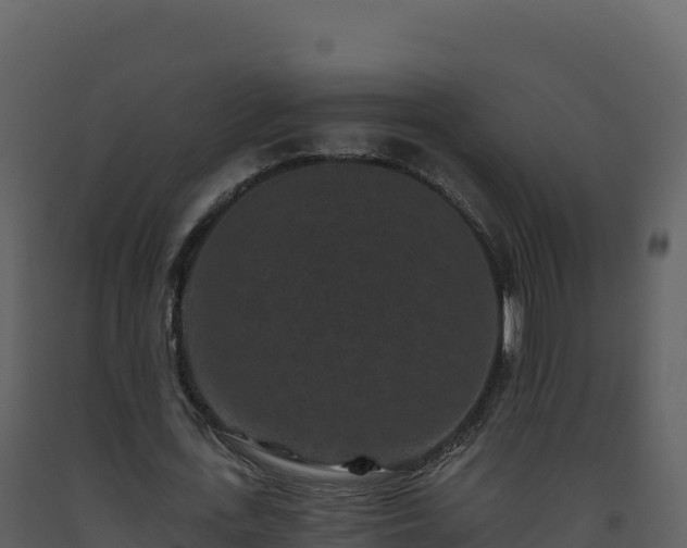 X0000093480723200710191205