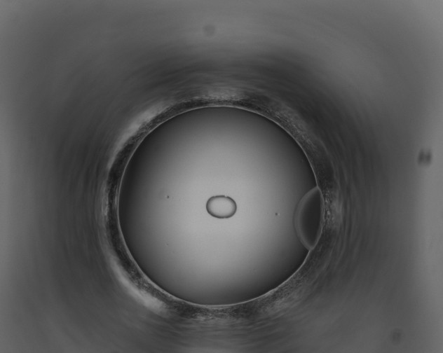 X0000093480726200710191205