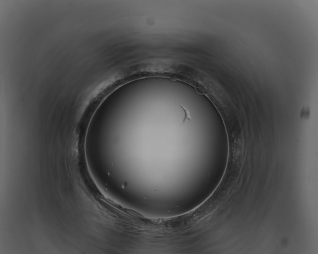 X0000093480727200710191205