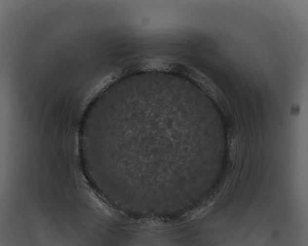X0000093480729200710191205