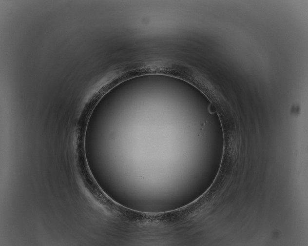 X0000093480730200710191205