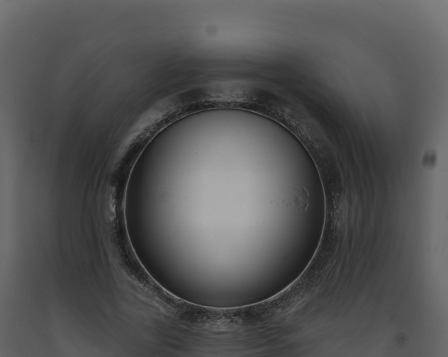X0000093480731200710191205
