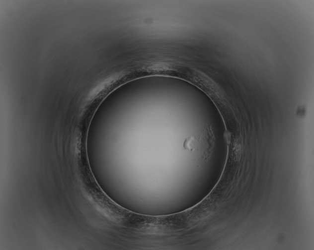 X0000093480732200710191205