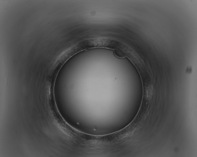 X0000093480733200710191205