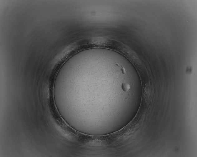 X0000093480734200710191205