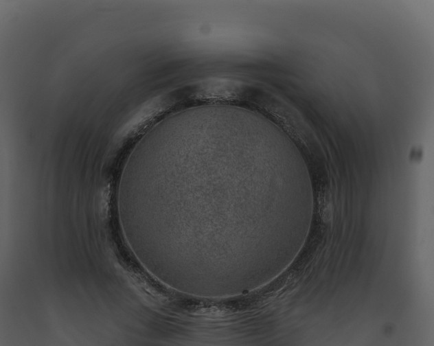 X0000093480735200710191205