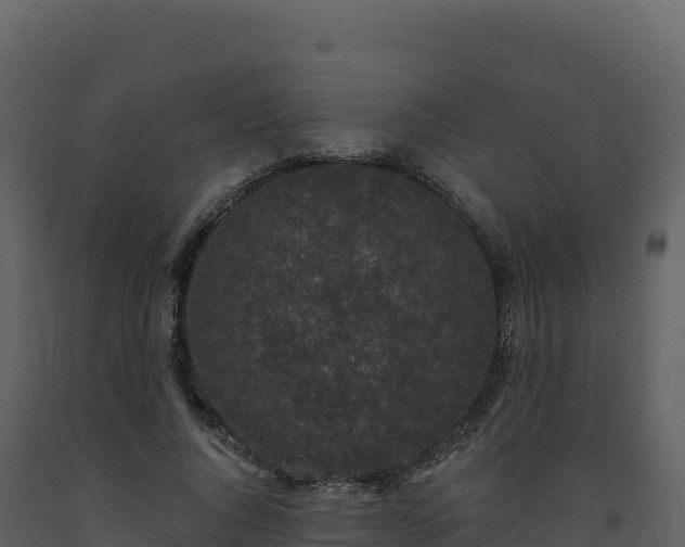 X0000093480736200710191205