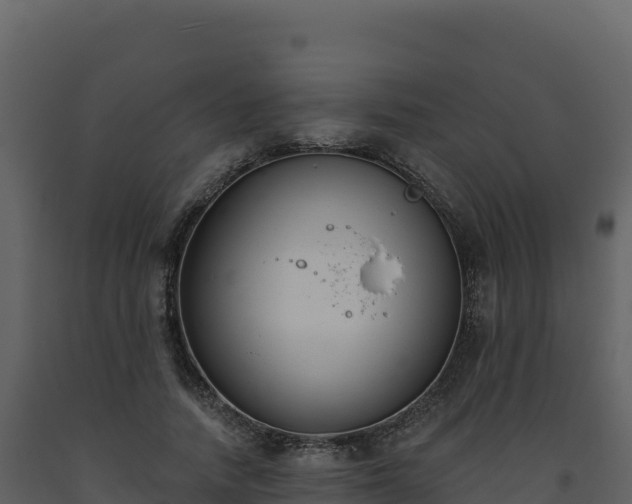 X0000093480738200710191206
