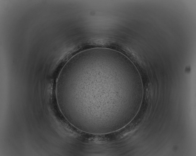 X0000093480739200710191206