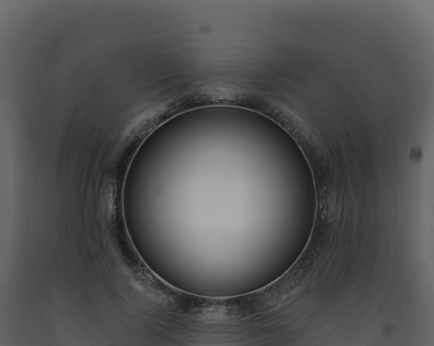 X0000093480740200710191206