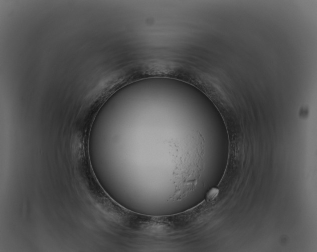 X0000093480743200710191206